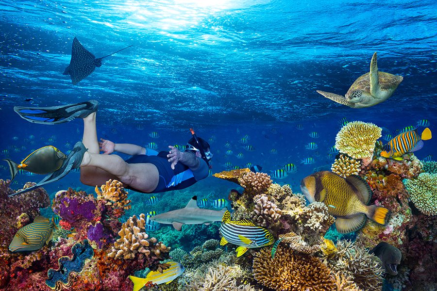 Diving in the Caribbean’s Vibrant Underwater World Fabric Magazine