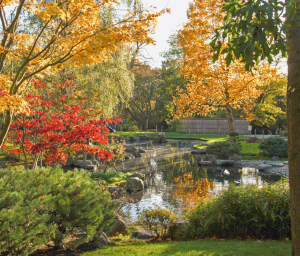 Kensington and Holland Park