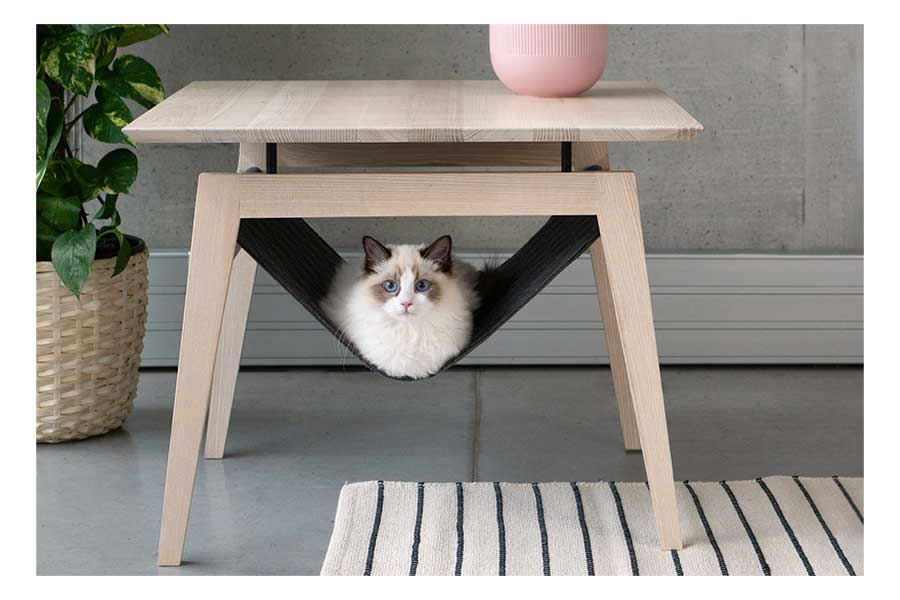 Pets at Home Fabric Magazine