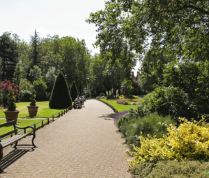 Queen's Park
