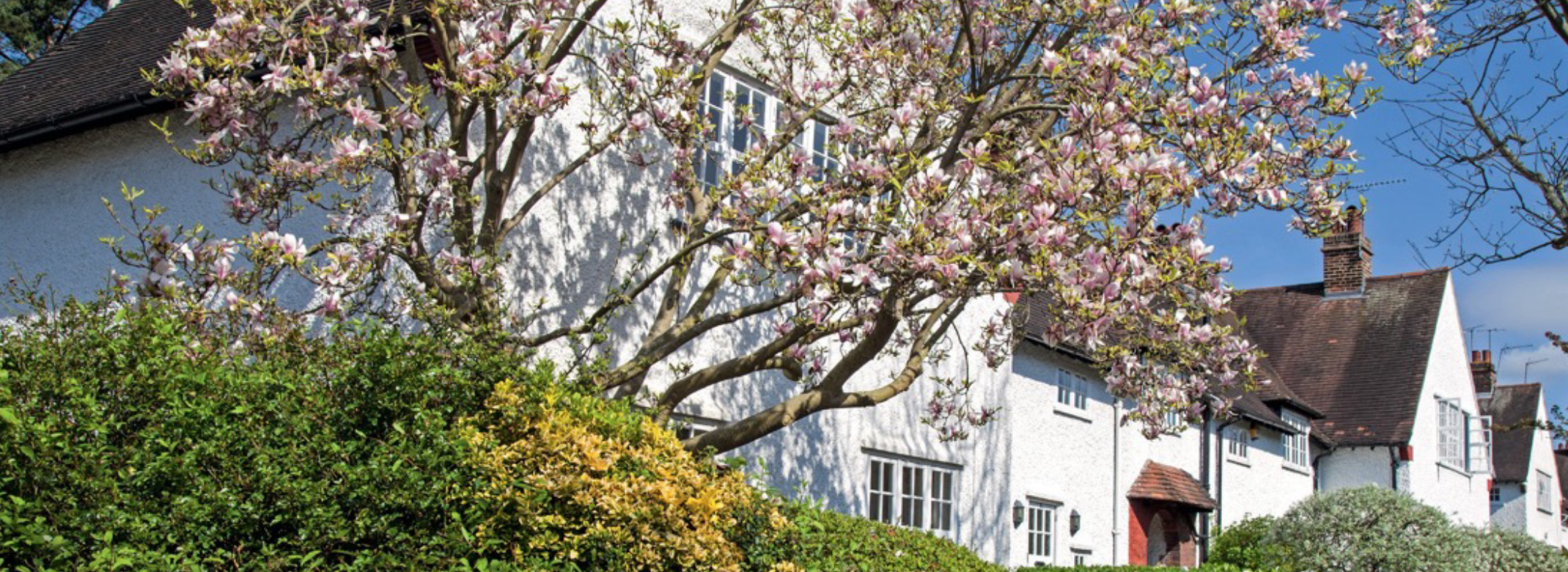 Keeping it Real Godfrey & Barr Fabric Magazine